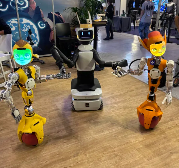Miroki and Miroka at Humanoid Nancy 2024